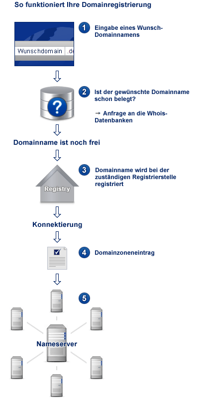 Schema des Ablaufs einer Domainregistrierung : 
1. Namenssuche
2. Registrierungsauftrag: 
3. Datenbankeintrag: 
4. Nameserver: Die Zuordnung von Domainname zu IP-Adresse wird auf Nameservern hinterlegt.
5. Propagierung: Das DNS verteilt die neue Zuordnung weltweit. 